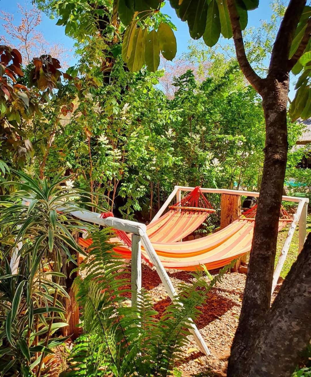 Victoria Falls Backpackers Lodge- Camp Sites エクステリア 写真