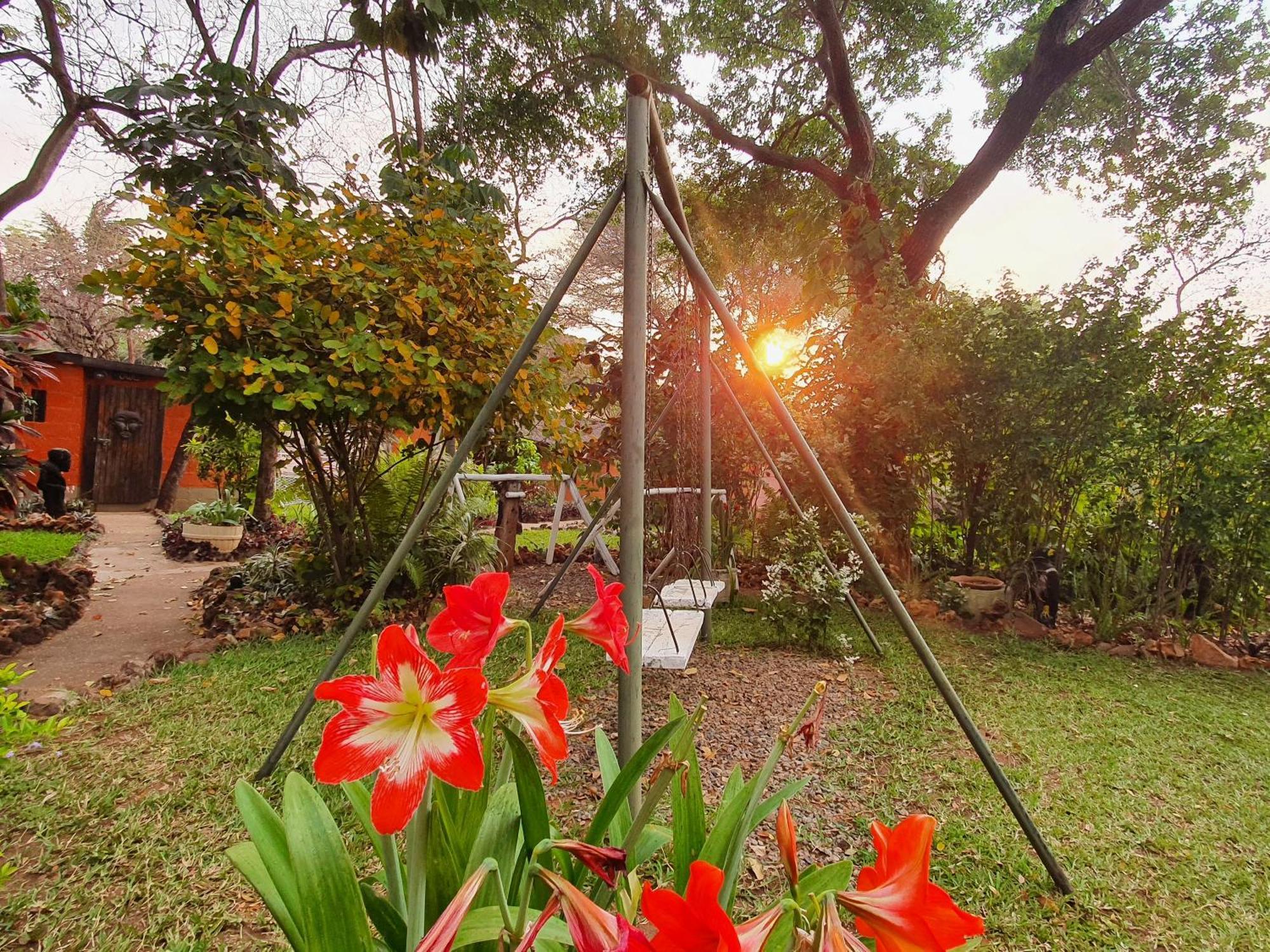 Victoria Falls Backpackers Lodge- Camp Sites エクステリア 写真